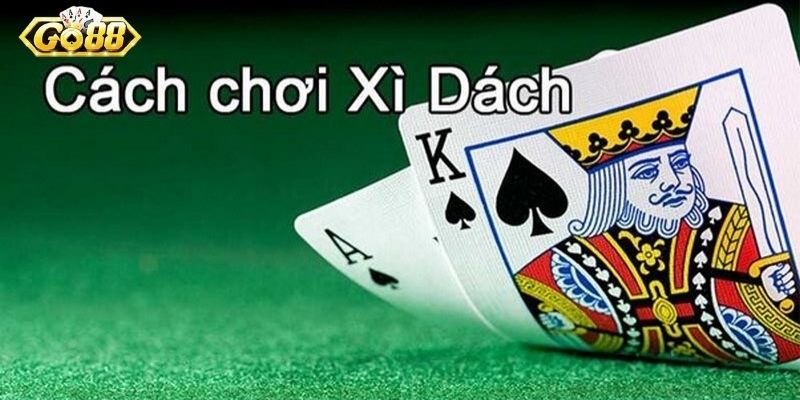 Luật chơi cơ bản của Xì Dách trực tuyến